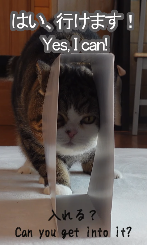 Maru pushing his head and shoulders through a narrow paper opening, staring straight ahead as he squeezes forward.
